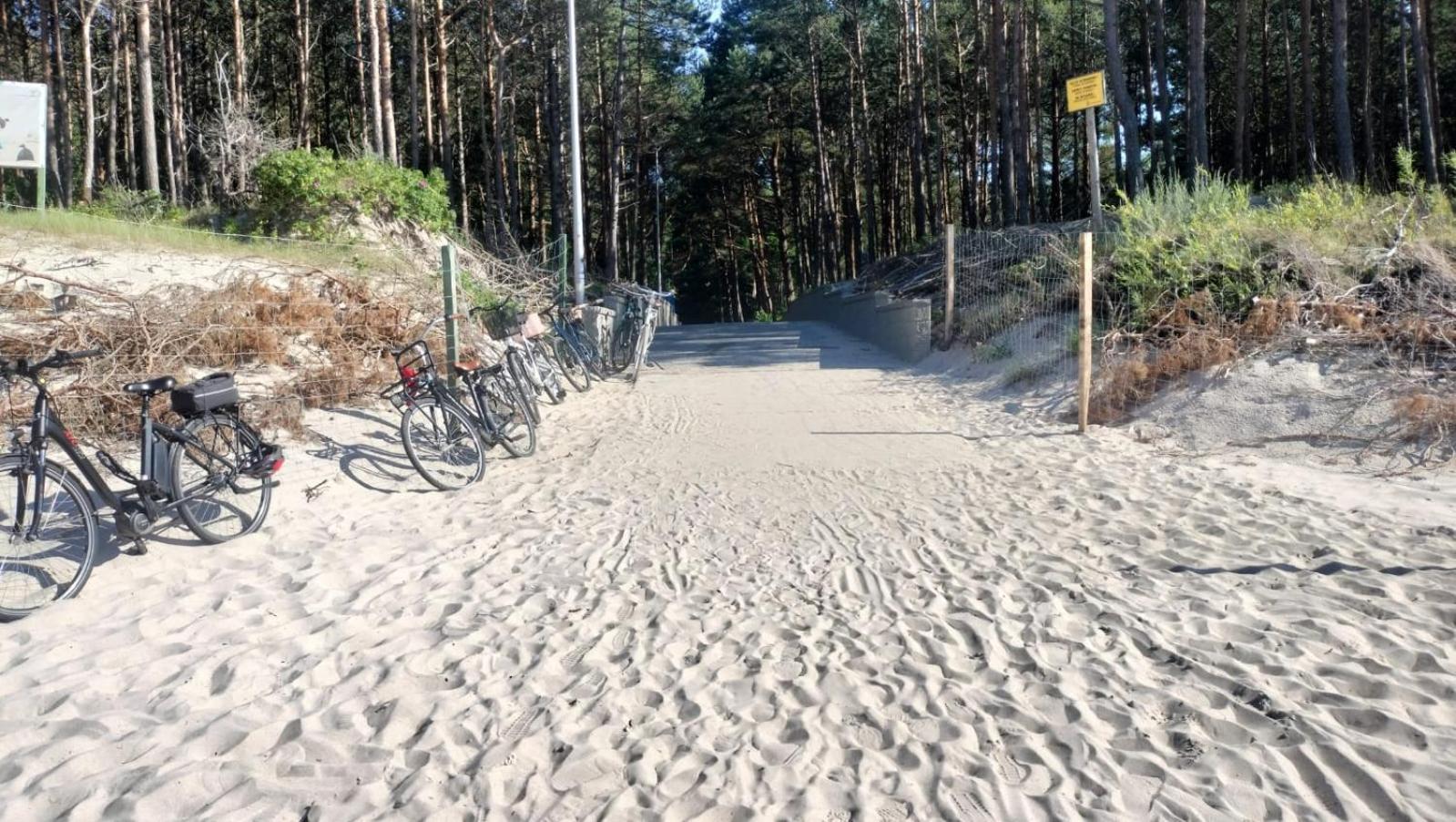 Baltic Gem
